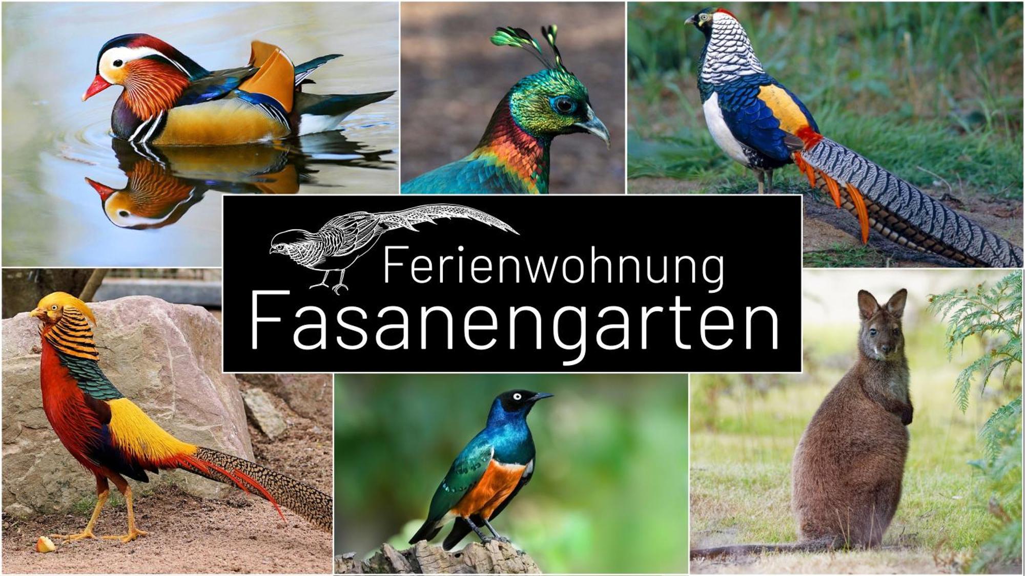 Fasanengarten In Traunreut Εξωτερικό φωτογραφία